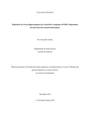 Régulation du réseau hippocampique par la plasticité synaptique mTORC1-dépendante des interneurones somatostatinergiques