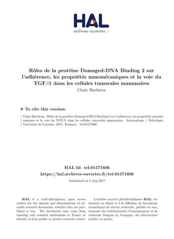 Rôles de la protéine Damaged-DNA Binding 2 dans les cellules tumorales mammaires