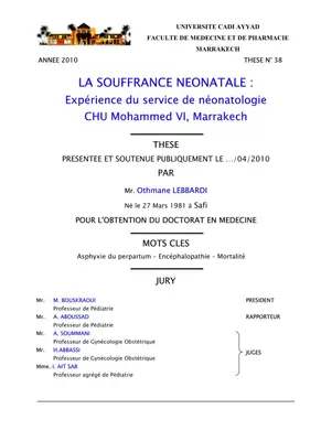 Thèse sur la Souffrance Néonatale au CHU Mohammed VI de Marrakech
