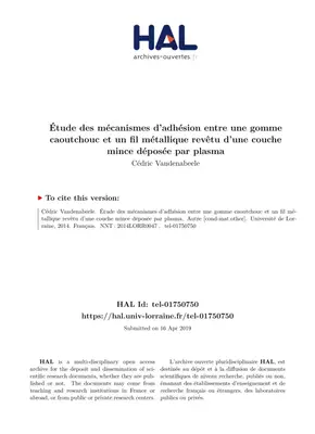 Étude des Mécanismes d'Adhésion entre Gomme Caoutchouc et Fil Métallique